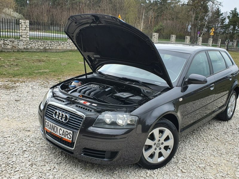 Audi A3 1.9 TDI 105KM # Sportback # Climatronic # Serwisowana # Piękny Kolor ! 8P (2003-2012)