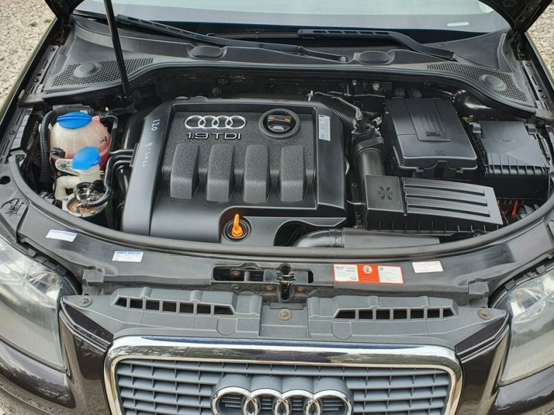 Audi A3 1.9 TDI 105KM # Sportback # Climatronic # Serwisowana # Piękny Kolor ! 8P (2003-2012)