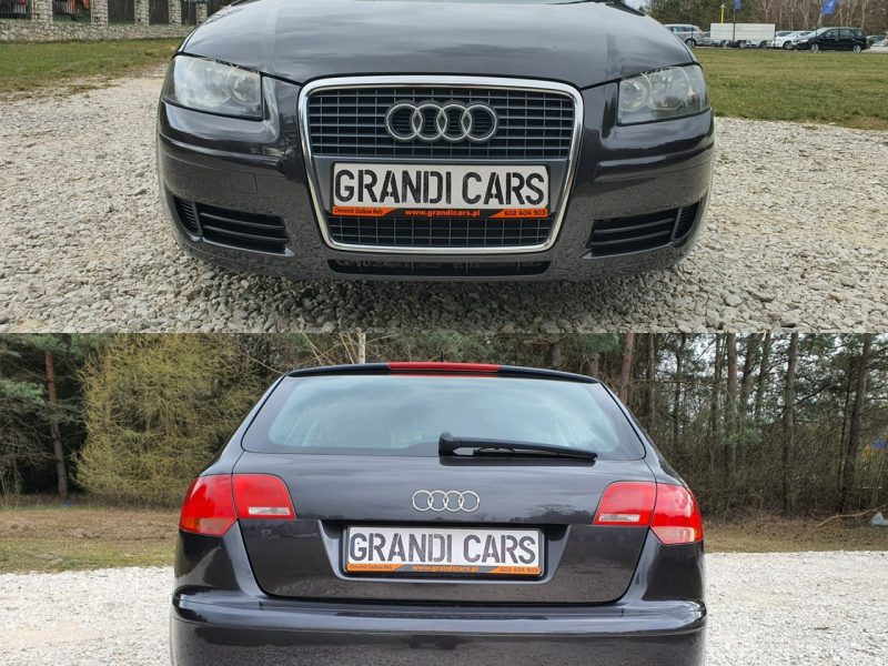 Audi A3 1.9 TDI 105KM # Sportback # Climatronic # Serwisowana # Piękny Kolor ! 8P (2003-2012)