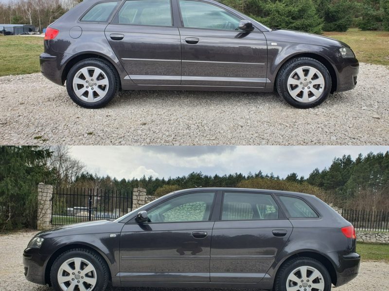 Audi A3 1.9 TDI 105KM # Sportback # Climatronic # Serwisowana # Piękny Kolor ! 8P (2003-2012)