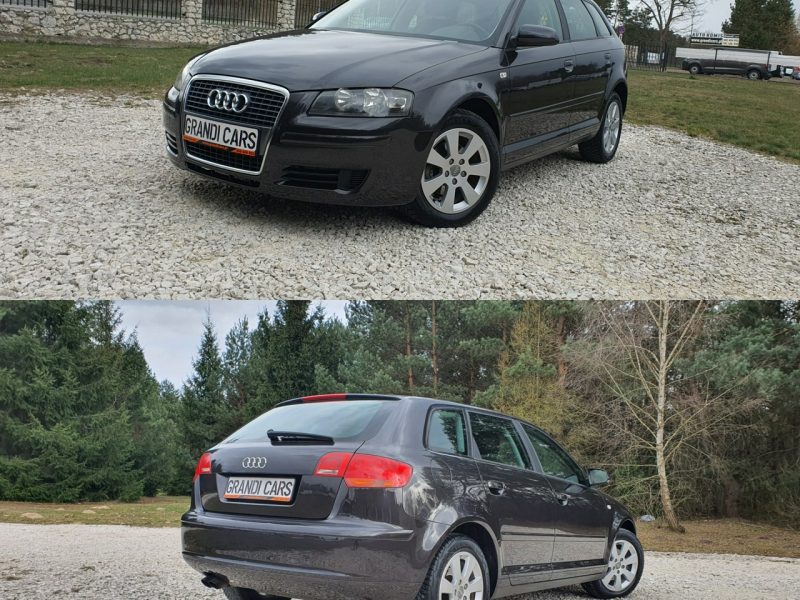 Audi A3 1.9 TDI 105KM # Sportback # Climatronic # Serwisowana # Piękny Kolor ! 8P (2003-2012)