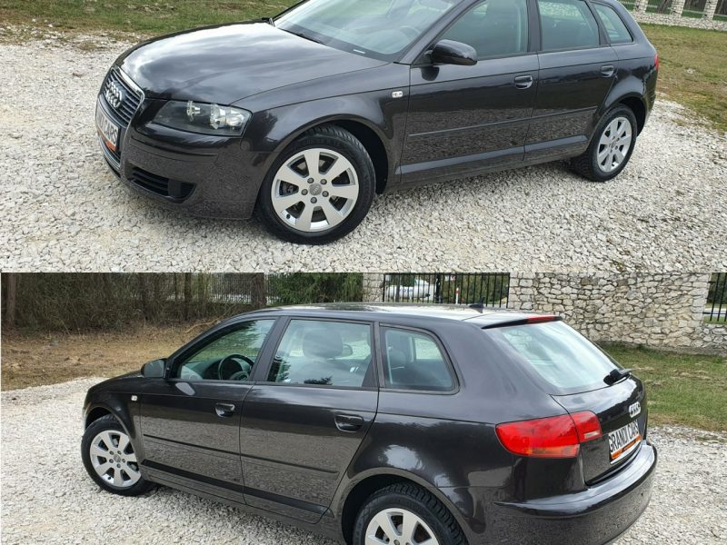 Audi A3 1.9 TDI 105KM # Sportback # Climatronic # Serwisowana # Piękny Kolor ! 8P (2003-2012)