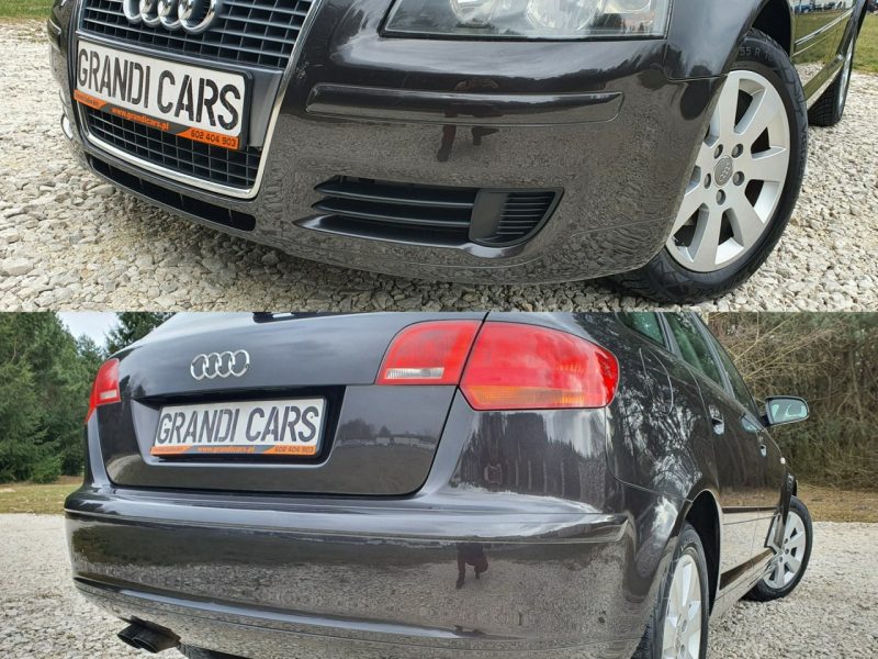 Audi A3 1.9 TDI 105KM # Sportback # Climatronic # Serwisowana # Piękny Kolor ! 8P (2003-2012)
