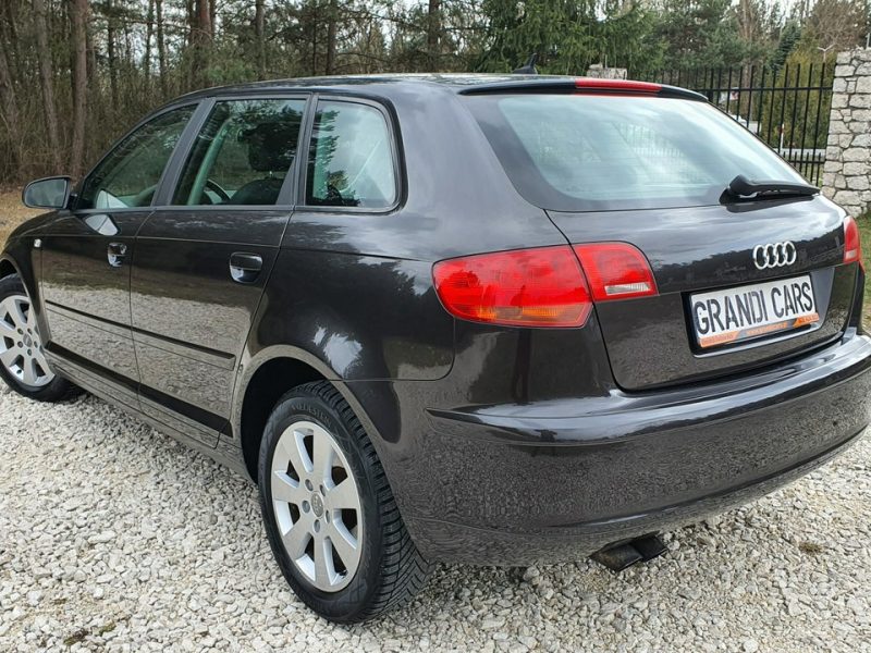 Audi A3 1.9 TDI 105KM # Sportback # Climatronic # Serwisowana # Piękny Kolor ! 8P (2003-2012)