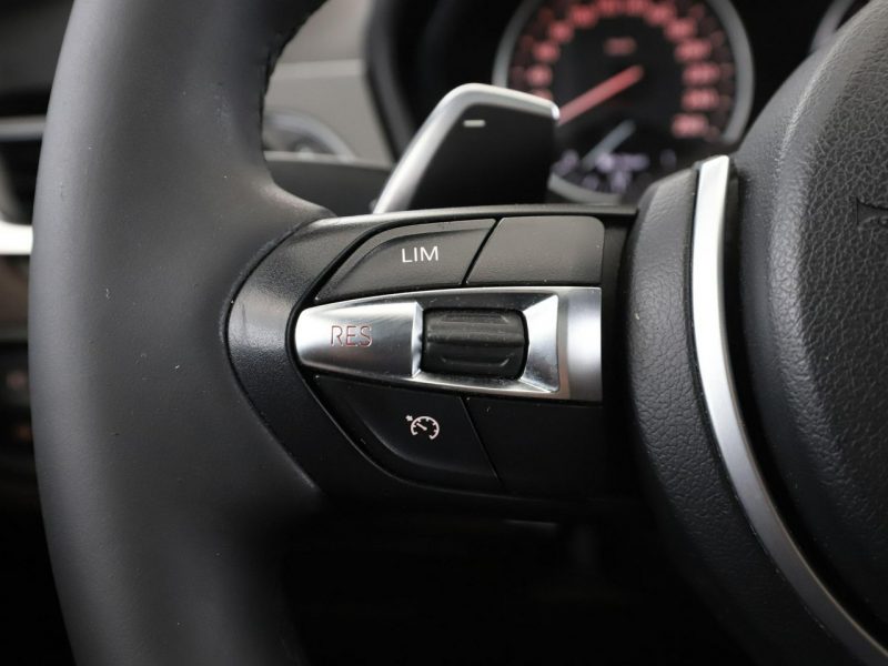 BMW X1 4x4 automat full LED skóra navi panorama navi czujniki parkowania II (F48) (2015-)