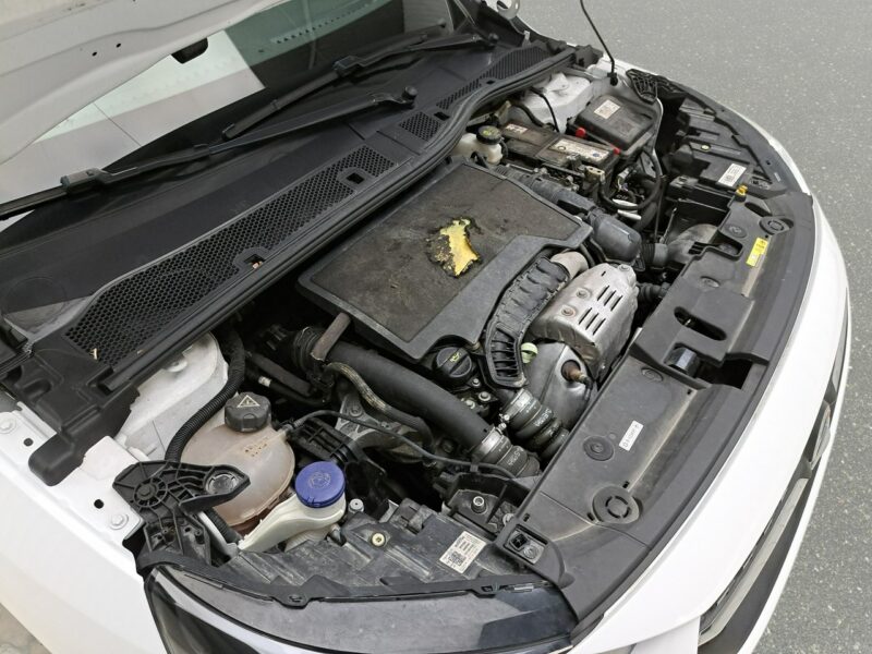 Opel Corsa F (2019-)