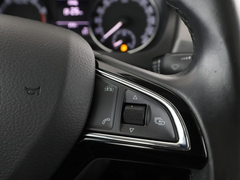 Škoda RAPID Panorama grzane fotele PDC klima navi bluetooth