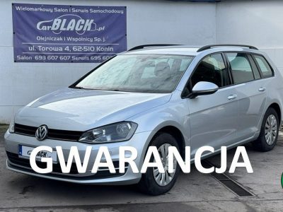 Volkswagen Golf Salon Polska, Gwarancja 12 miesięcy VII (2012-)