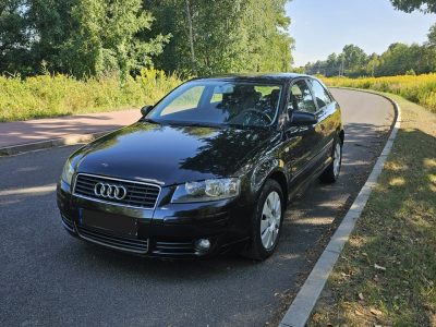 Audi A3 Audi A3 220tyś przebiegu 8P (2003-2012)