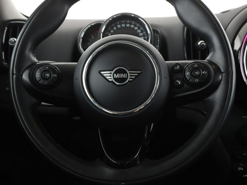 Mini Countryman Cooper ALL4 Chili Automat Navi Tempomat Grzane Sporty El.Klapa PDC LED