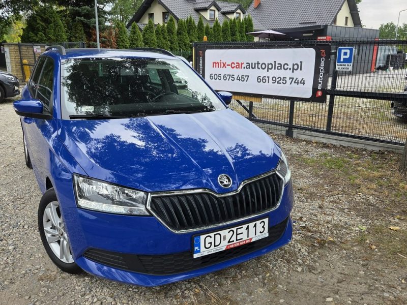 Škoda Fabia 1.0 MPI+LPG Salon Polska FV 23% Bezwypadkowy Bardzo ładny Stan III (2014-)