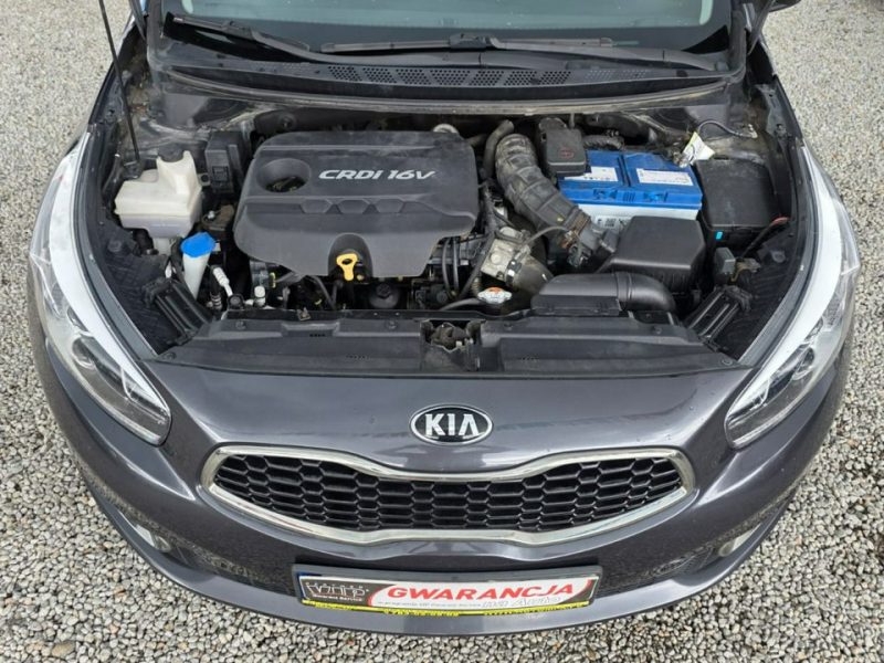 Kia Cee'd Salon Polska, 1.7 D-,GWARANCJA W CENIE / Możliwa Zamiana -AUTOMI-X.PL II (2012-)