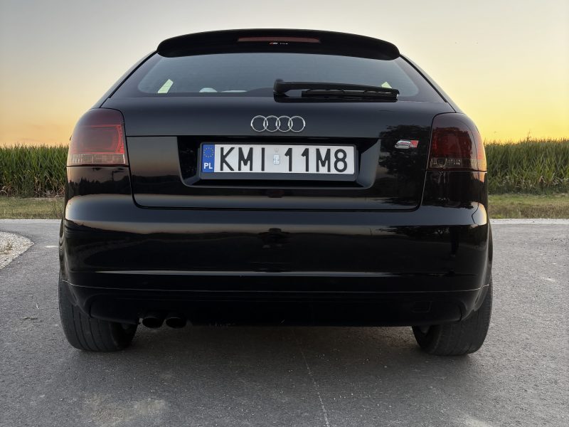 Audi A3 8P 2.0 TDI