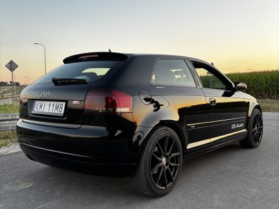 Audi A3 8P 2.0 TDI