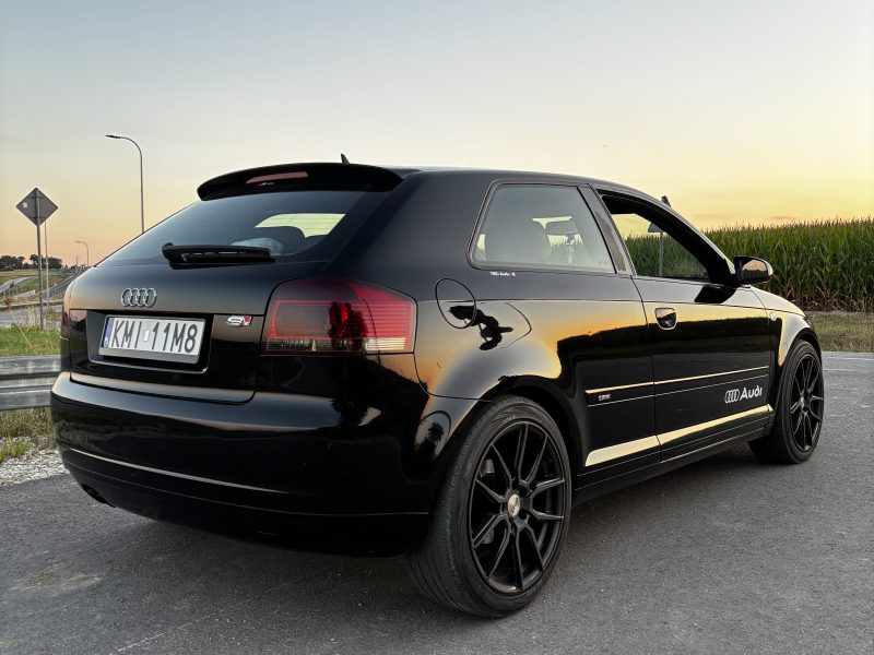 Audi A3 8P 2.0 TDI
