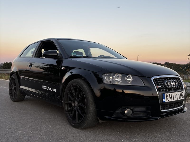 Audi A3 8P 2.0 TDI
