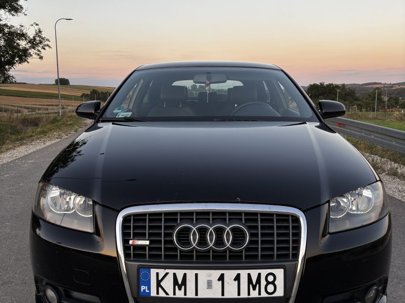 Audi A3 8P 2.0 TDI