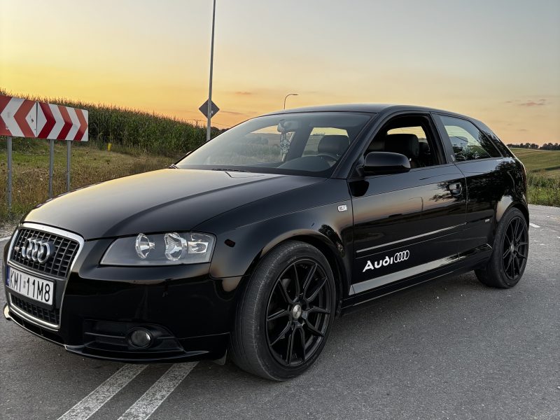 Audi A3 8P 2.0 TDI