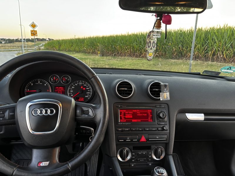 Audi A3 8P 2.0 TDI