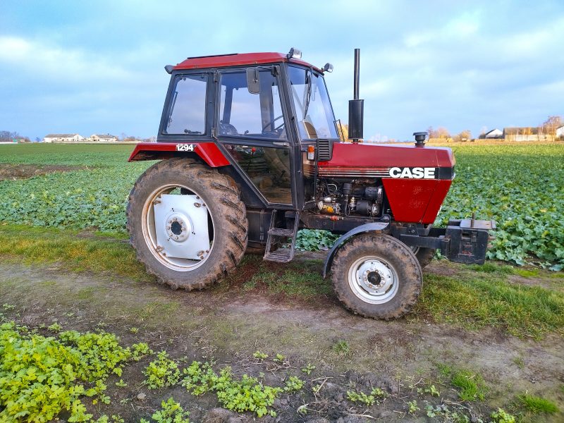 Case IH 1294 - 70 KM | ZADBANY | FILM |