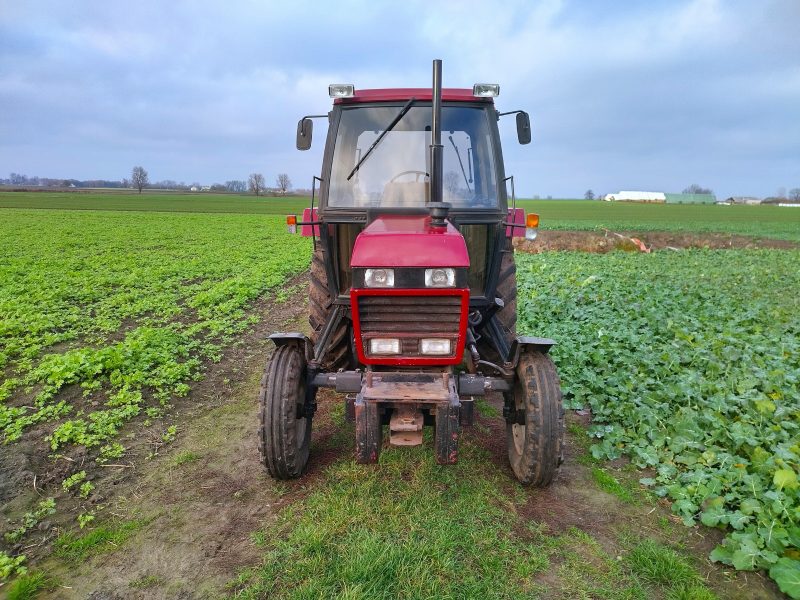 Case IH 1294 - 70 KM | ZADBANY | FILM |