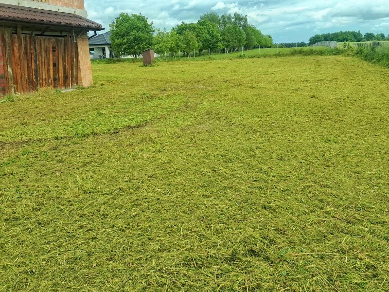 Mulczerowanie nieużytków