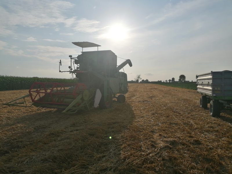 1965 Claas matador gigant +wózek na heder!!!
