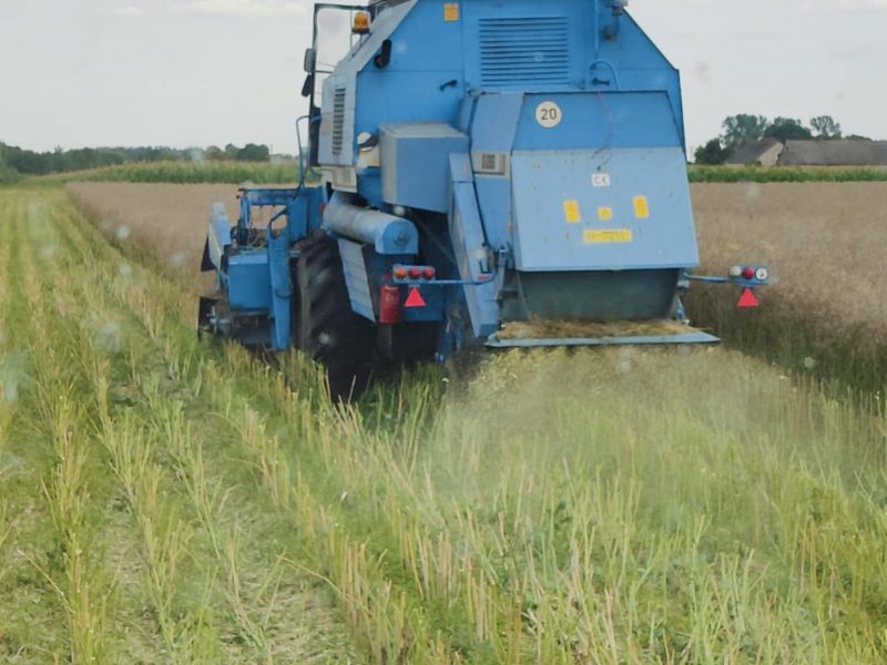 Bizon Rekord Z058 – 1997 rok –