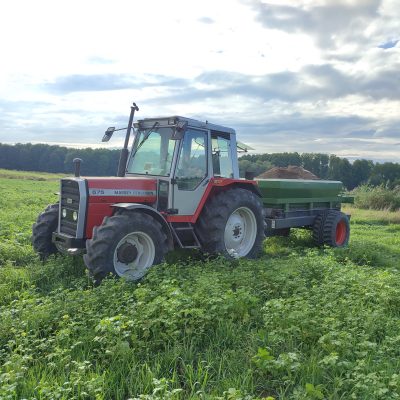 Marek1508