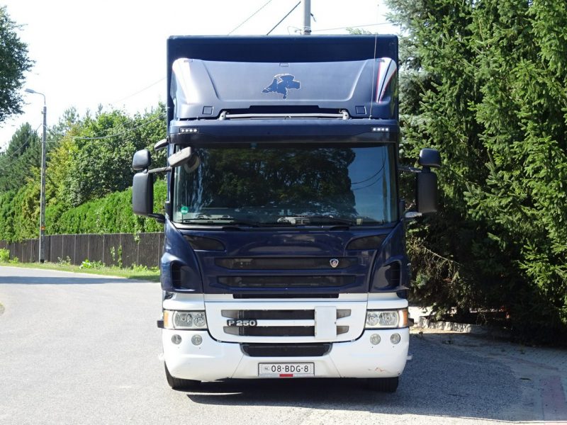 Scania P250 Euro 6 kontener 19 palet winda klapa Scania P 250 Euro 6 kontener 19 palet winda klapa poduszki sprowadzony