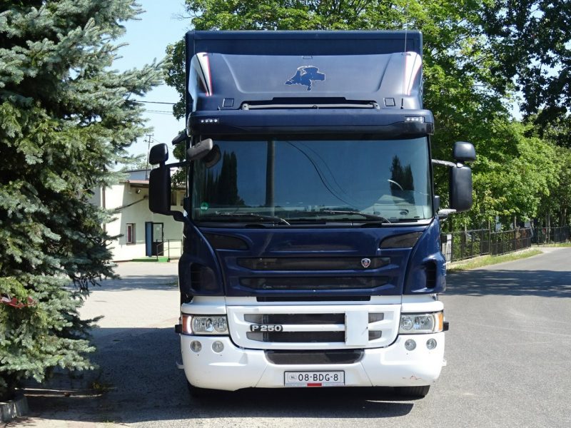 Scania P250 Euro 6 kontener 19 palet winda klapa Scania P 250 Euro 6 kontener 19 palet winda klapa poduszki sprowadzony