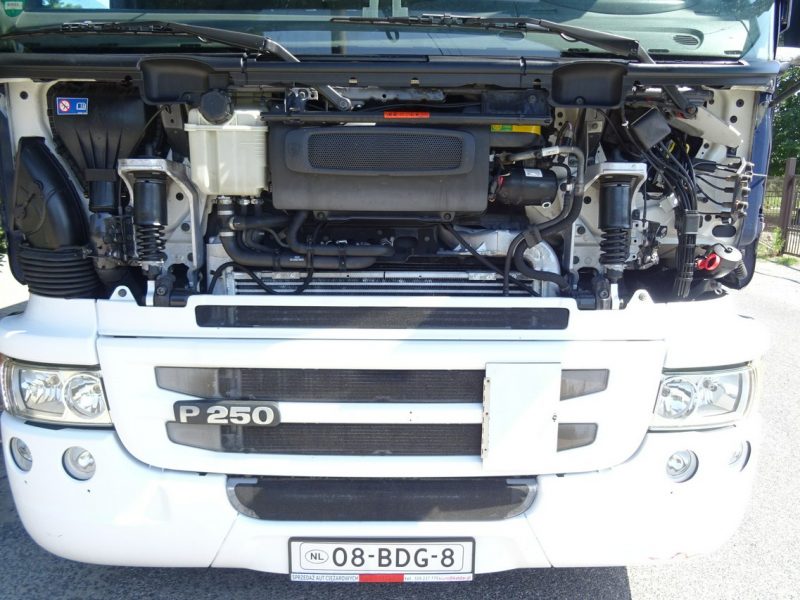 Scania P250 Euro 6 kontener 19 palet winda klapa Scania P 250 Euro 6 kontener 19 palet winda klapa poduszki sprowadzony