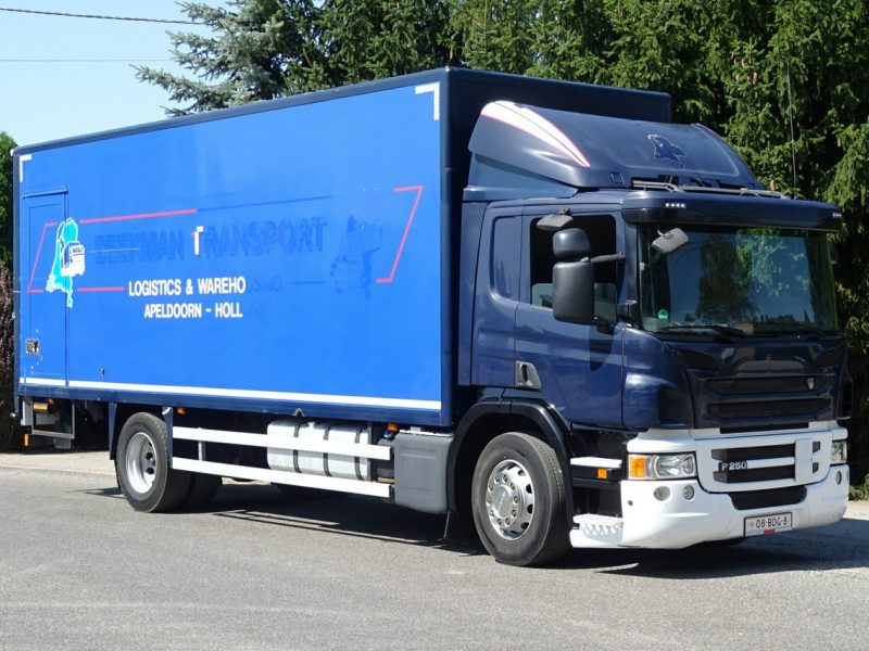 Scania P250 Euro 6 kontener 19 palet winda klapa Scania P 250 Euro 6 kontener 19 palet winda klapa poduszki sprowadzony
