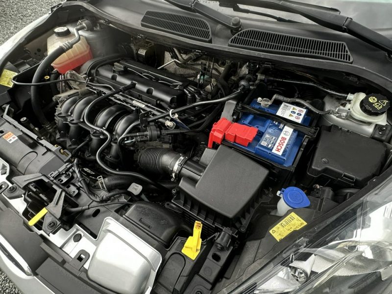 Ford Fiesta Benzyna Zarejestrowany Ubezpieczony Mk7 (2008-)