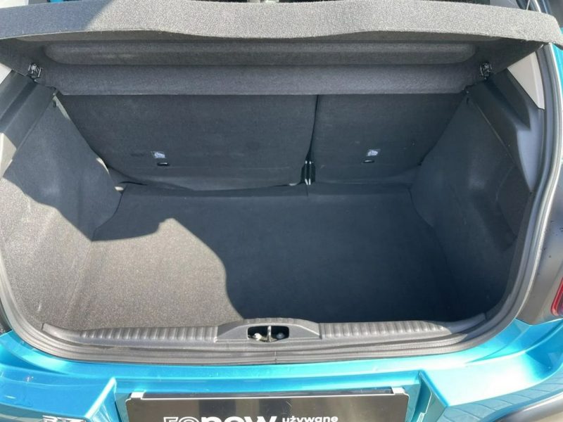 Citroen C3 1.2 Shine 110KM/FOCAL/1Właściciel/Polski Salon/Nowy rozrząd/Jak nowy! III (2016-)