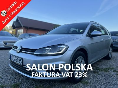 Volkswagen Golf Salon Polska Poleasingowy I właściciel Serwis ASO VAT 23% Bezwypadkowy VII (2012-)