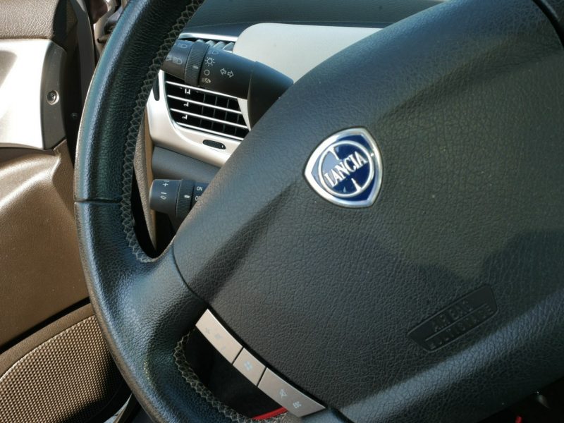Lancia Ypsilon 1.4 16V 95KM Platino Automat Panorama -2xKlimatr -1 Wł od 8 lat III (2003-2011)