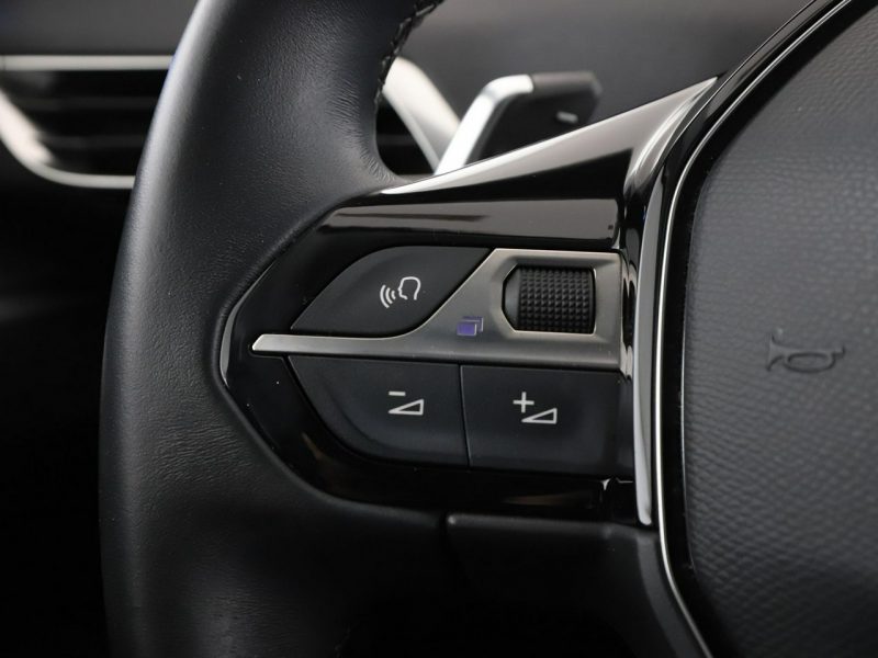 Peugeot 3008 FV23% Niski przebieg Historia serwisowa Plug-In Hybrid Navi Kamera II (2016-)