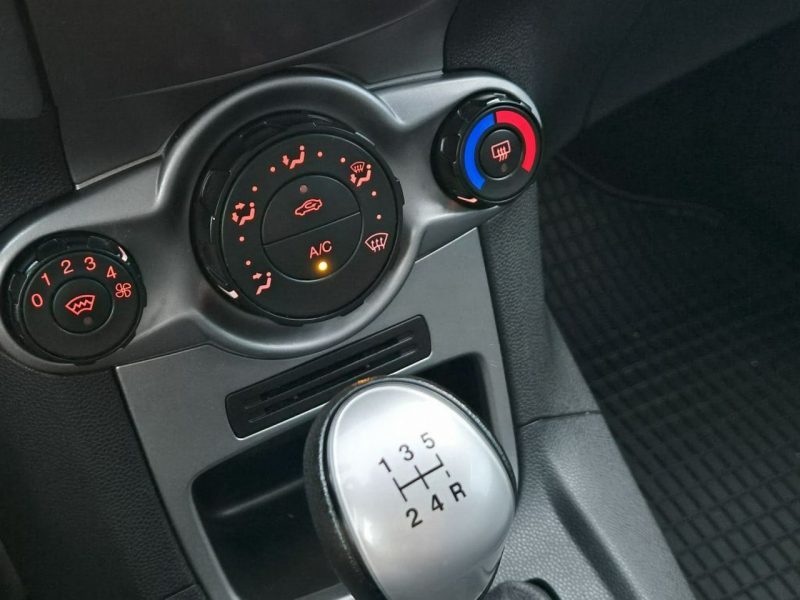 Ford Fiesta GWARANCJA * 1.25 82 KM BENZYNA * klimatyzacja * zadbany * warszawa Mk7 (2008-)