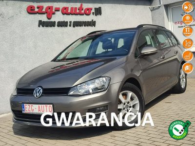 Volkswagen Golf I właściciel wyposażenie ładny Gwarancja VII (2012-)