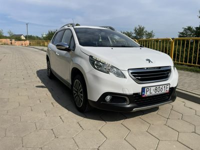 Peugeot 2008 Peugeot 2008 Zarejestrowany Klima LEDY Mały przebieg I (2013-2019)