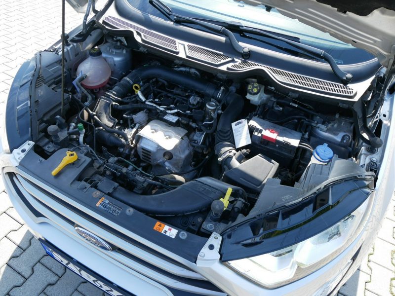 Ford EcoSport 1.0 E-boost 125KM Eu6 -Pakiet zima -Nowy rozrząd -Bardzo zadbany II (2013-)
