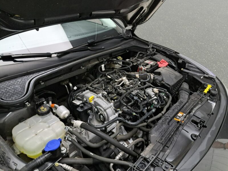 Ford Focus Mk4 (2018-)