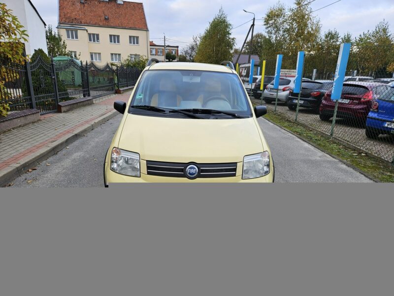 Fiat Panda Opłacona Zdrowa Zadbana Serwisowana Klima 4x4 1 Wł Po Serwisie II (2003-2012)