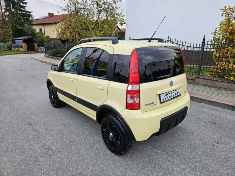 Fiat Panda Opłacona Zdrowa Zadbana Serwisowana Klima 4x4 1 Wł Po Serwisie II (2003-2012)