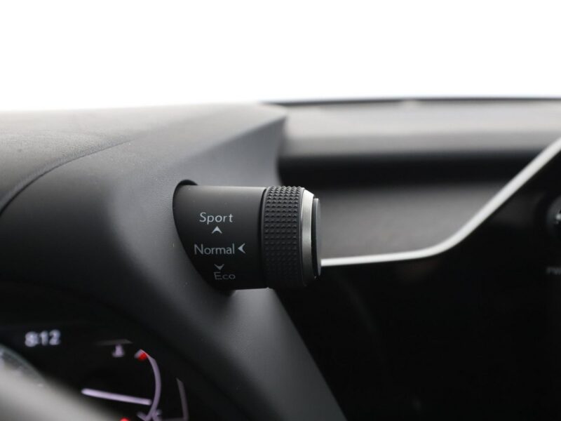 Lexus UX Executive Navi Kamera cofania Klimatyzacja Podgrzewane fotele