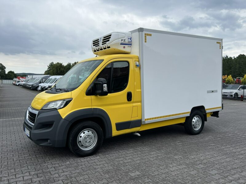 Peugeot Boxer Mroźnia Podwójne Zasilanie Unikat STAN nie Fiat Citroen Iveco 2016r