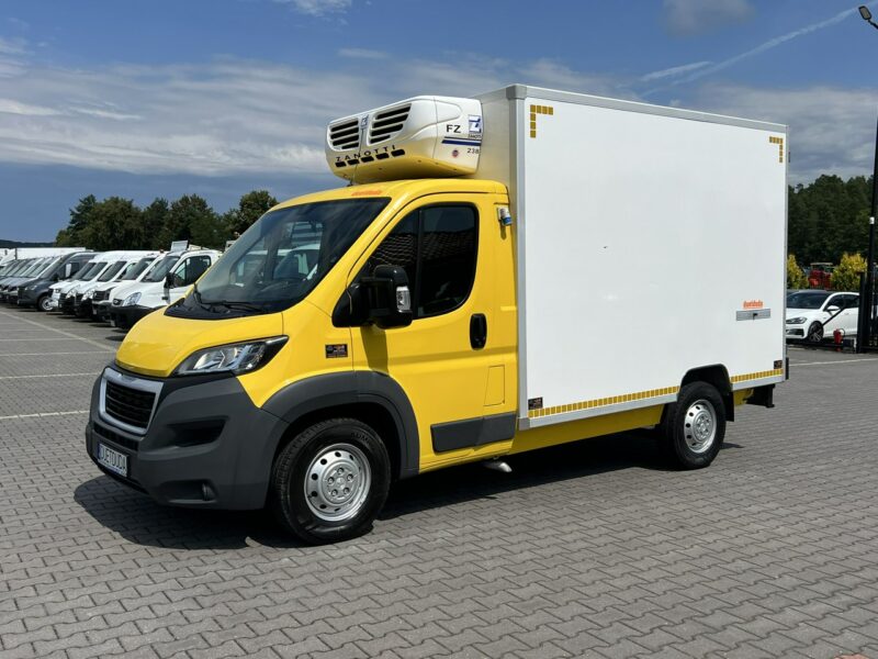 Peugeot Boxer Mroźnia Podwójne Zasilanie Unikat STAN nie Fiat Citroen Iveco 2016r