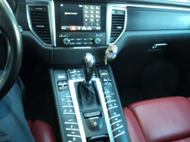 Porsche Macan sprzedam ładnego PORSHE MACANA 3.0 V6B 360 KM Turbo I (2014-)