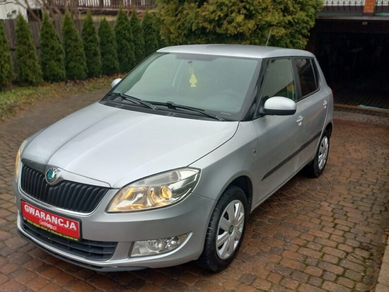 Škoda Fabia Instalacja Gazowa BRC 1.4 85KM Salon PL II (2007-2014)